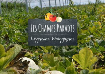 Les champs paradis